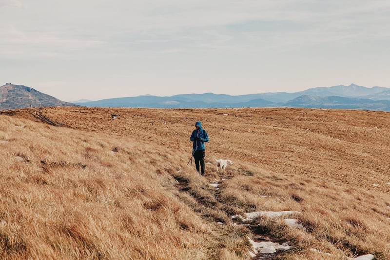 Exploring Uncharted Territories